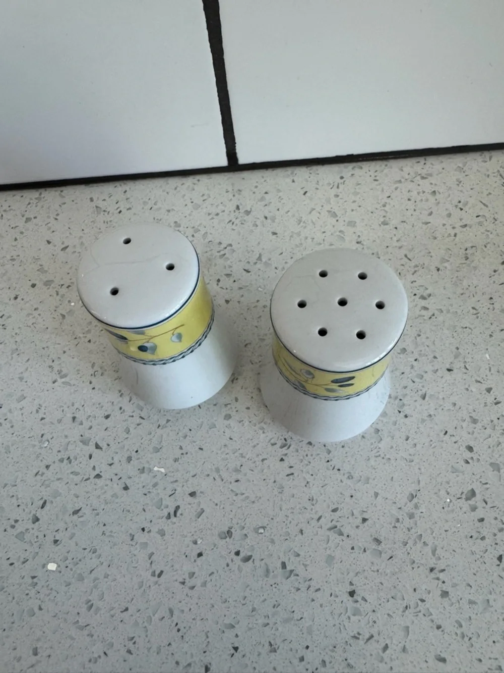 EUC Royal Doulton Blueberry Print Salt and Pepper Shakers